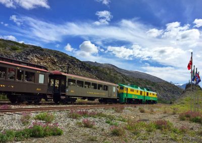 Train Traveling on hills