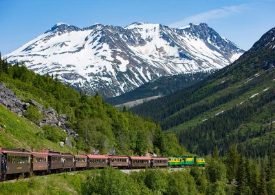Whitehorse train
