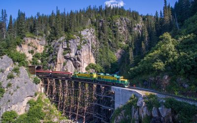 Most Popular Shore Excursion in Alaska!
